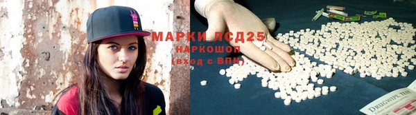 индика Богородск