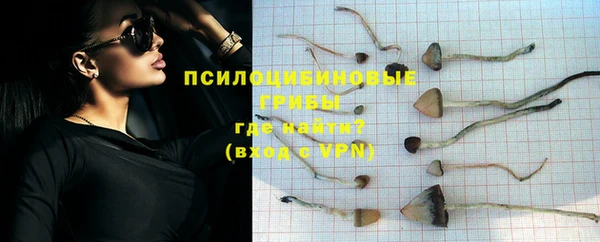 COCAINE Богородицк