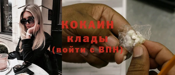 индика Богородск