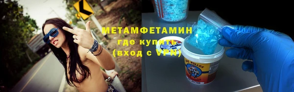 индика Богородск