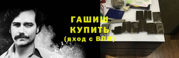 индика Богородск