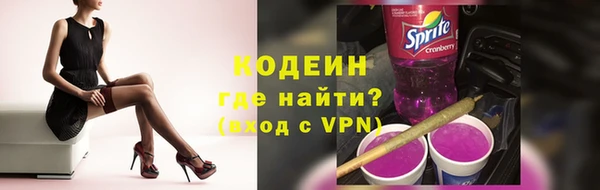 спиды Богданович