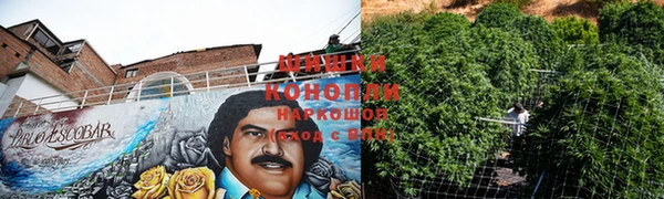 COCAINE Богородицк