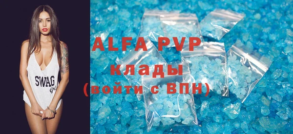 индика Богородск