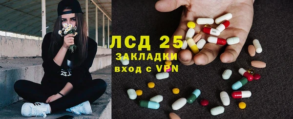 спиды Богданович