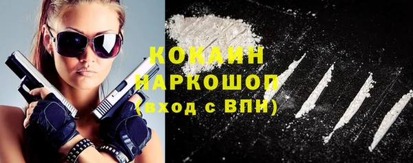 индика Богородск