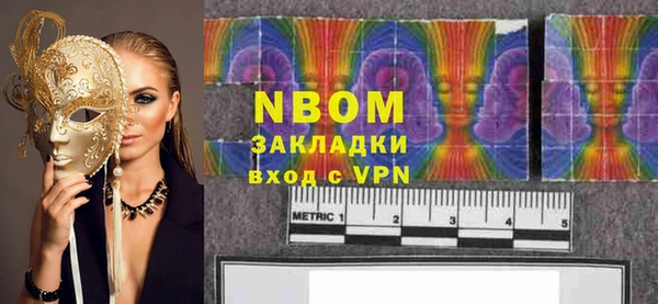 индика Богородск