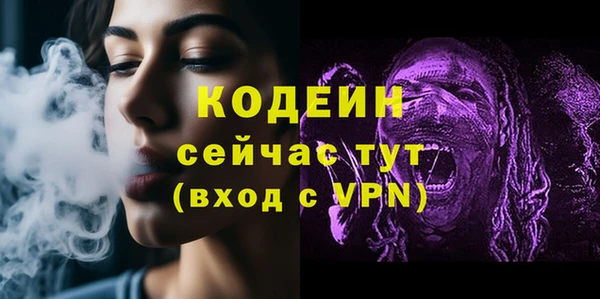 спиды Богданович