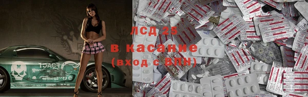 индика Богородск