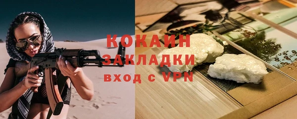 индика Богородск