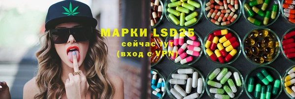 индика Богородск