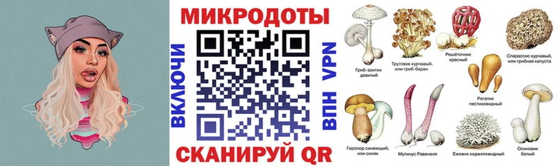 где можно купить наркотик  Котлас  Галлюциногенные грибы GOLDEN TEACHER 