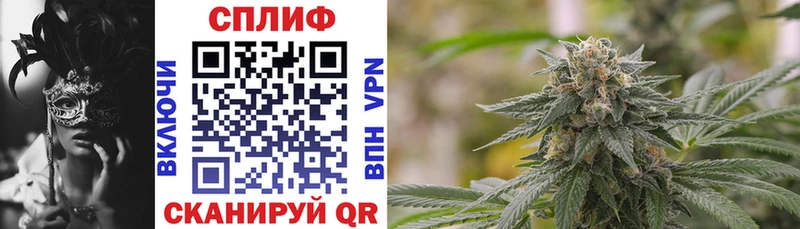 блэк спрут сайт  Котлас  Канабис White Widow 